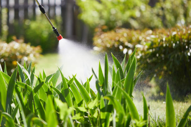24/7 Emergency Ant Control experts in Ketchikan, AK