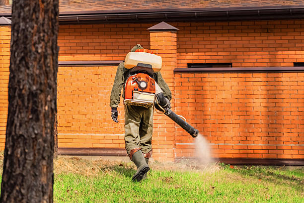 Top rated local Ant Control specialists in Ketchikan, AK